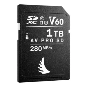 AV PRO SD MK2 1TB V60